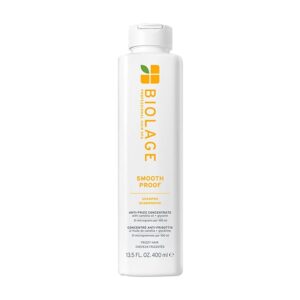 Matrix Biolage Smooth Proof Camellia Smoothing Shampoo